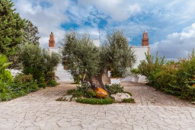 Tour Brindisi e visita Uliveto in Ostuni con degustazione oli evo