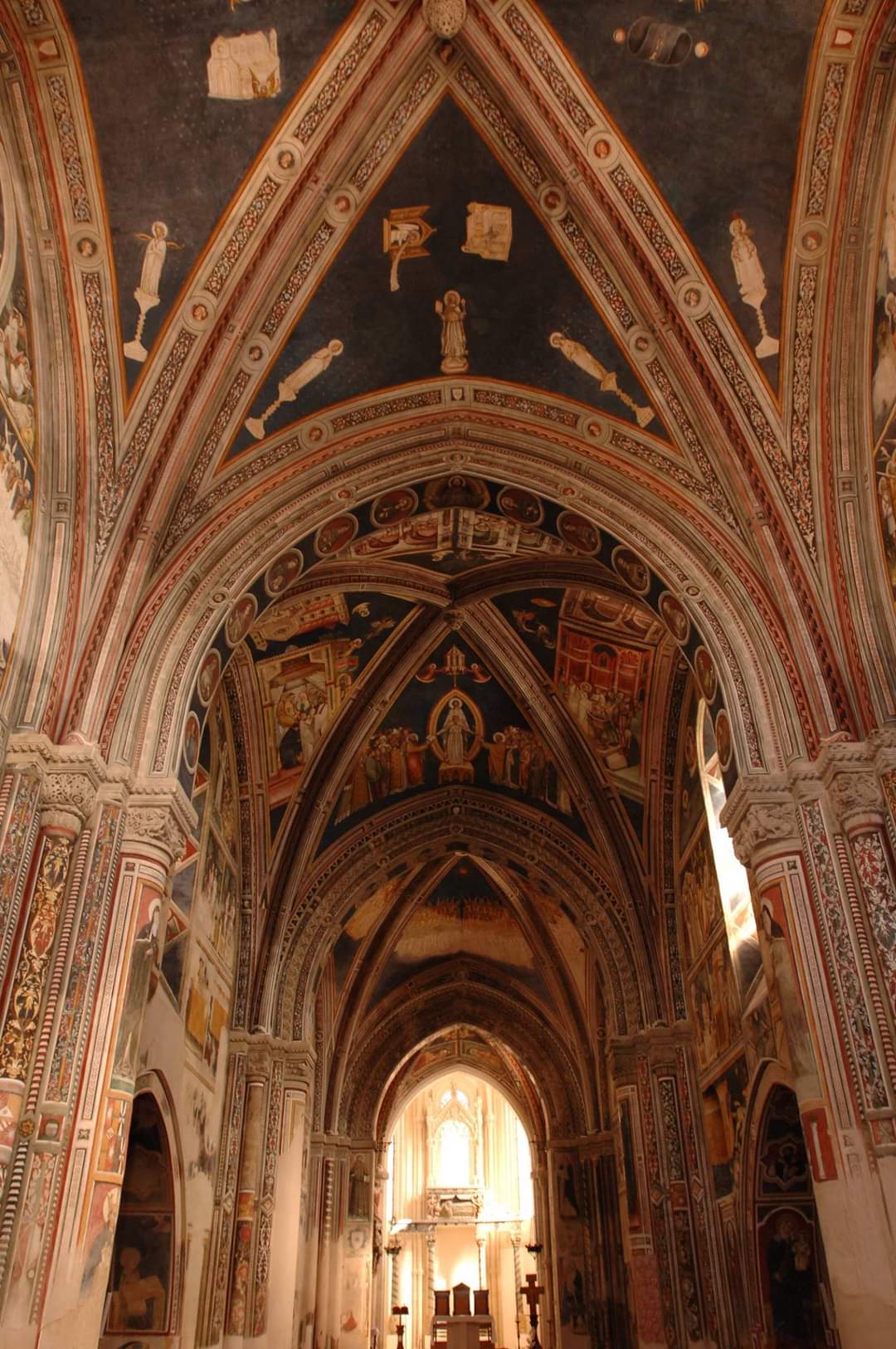 The frescoes of the Basilica of Santa Caterina and Wine Tasting