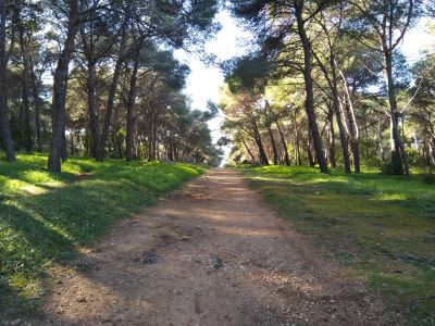 Trekking con Bambini - Porto Selvaggio